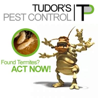 tudor pest control company.